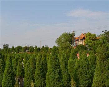 落葬時，要注意的六大原則